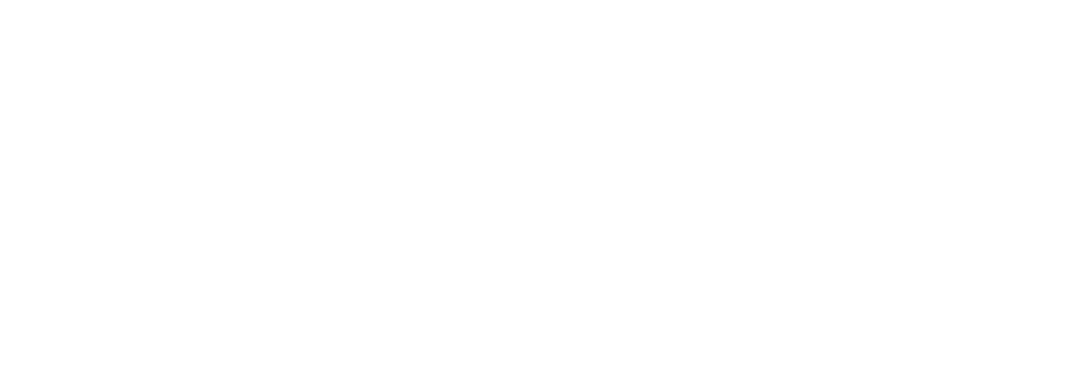 Main Logo